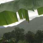 Bolivian Countryside